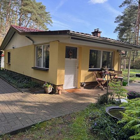 Ferienhaus Im Wald Borkwalde Eksteriør billede