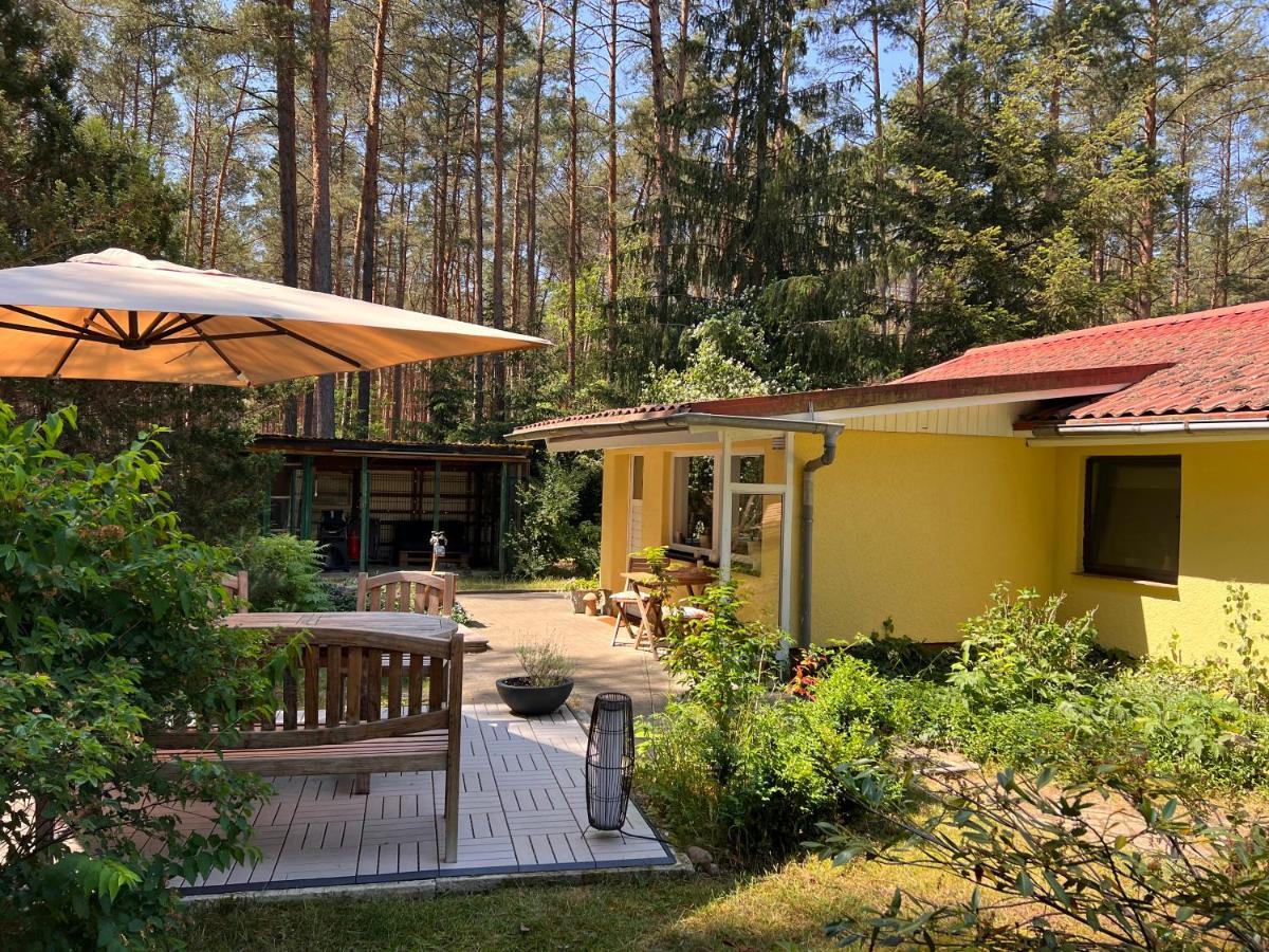 Ferienhaus Im Wald Borkwalde Eksteriør billede
