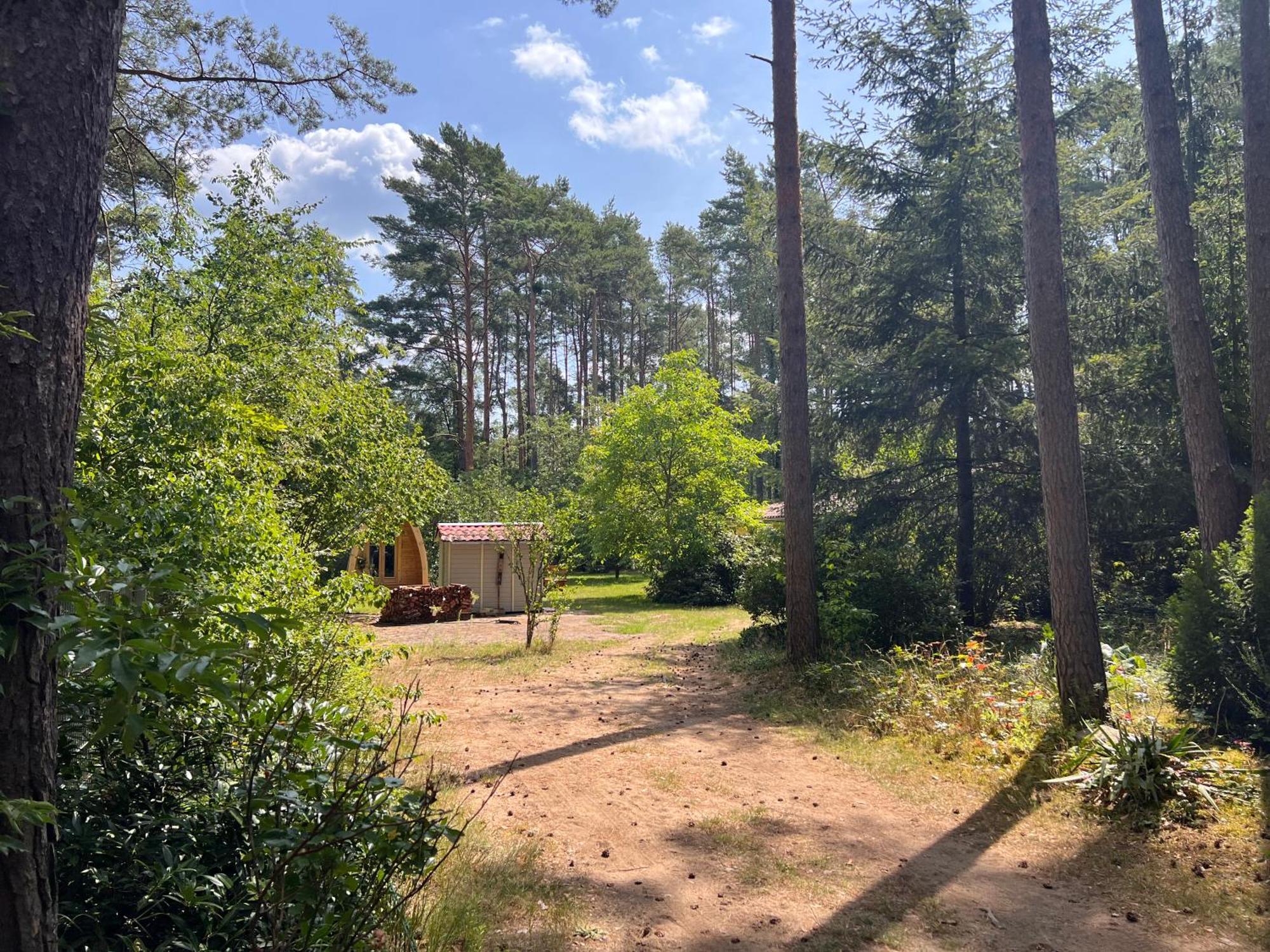 Ferienhaus Im Wald Borkwalde Eksteriør billede