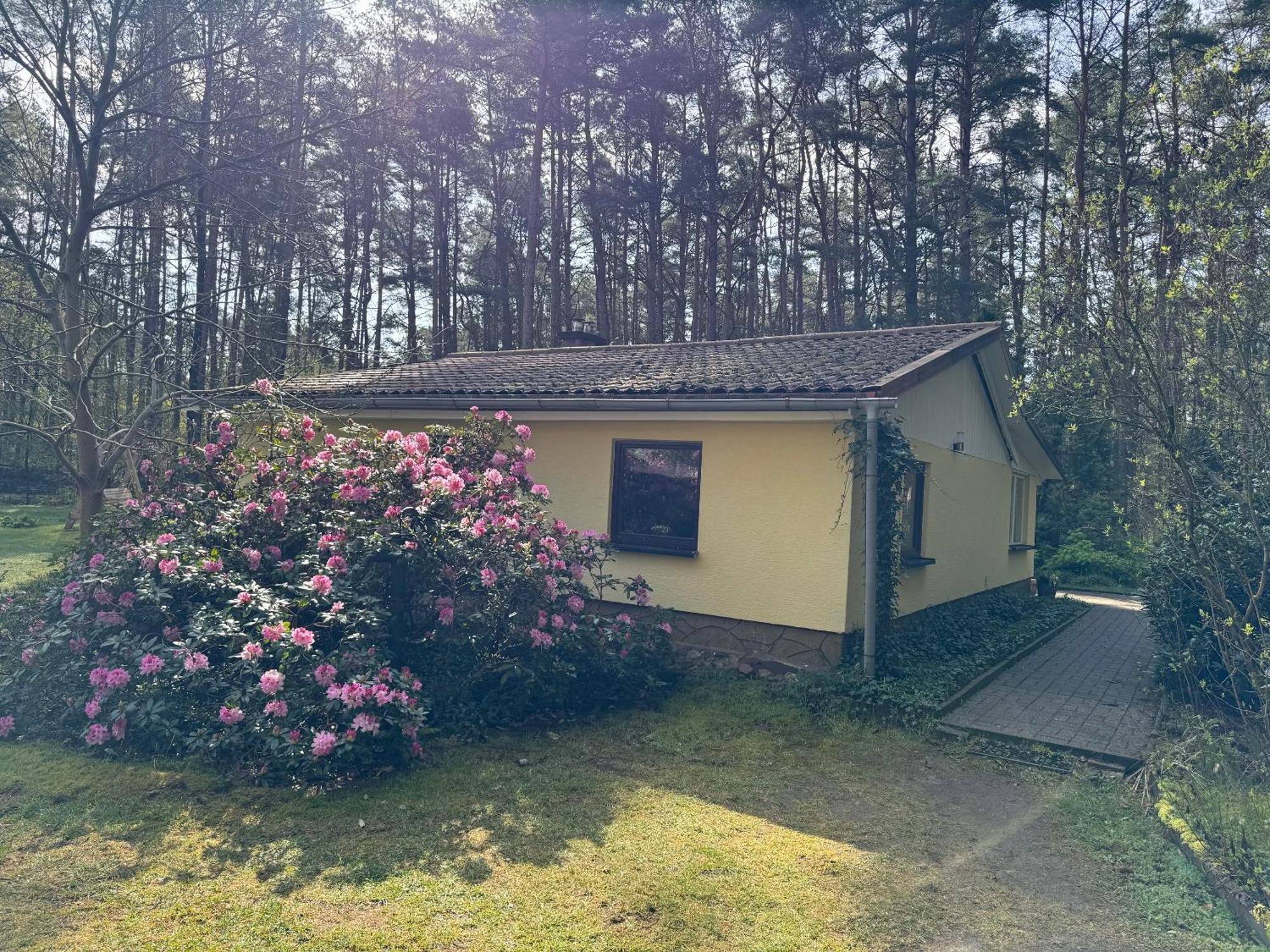 Ferienhaus Im Wald Borkwalde Eksteriør billede