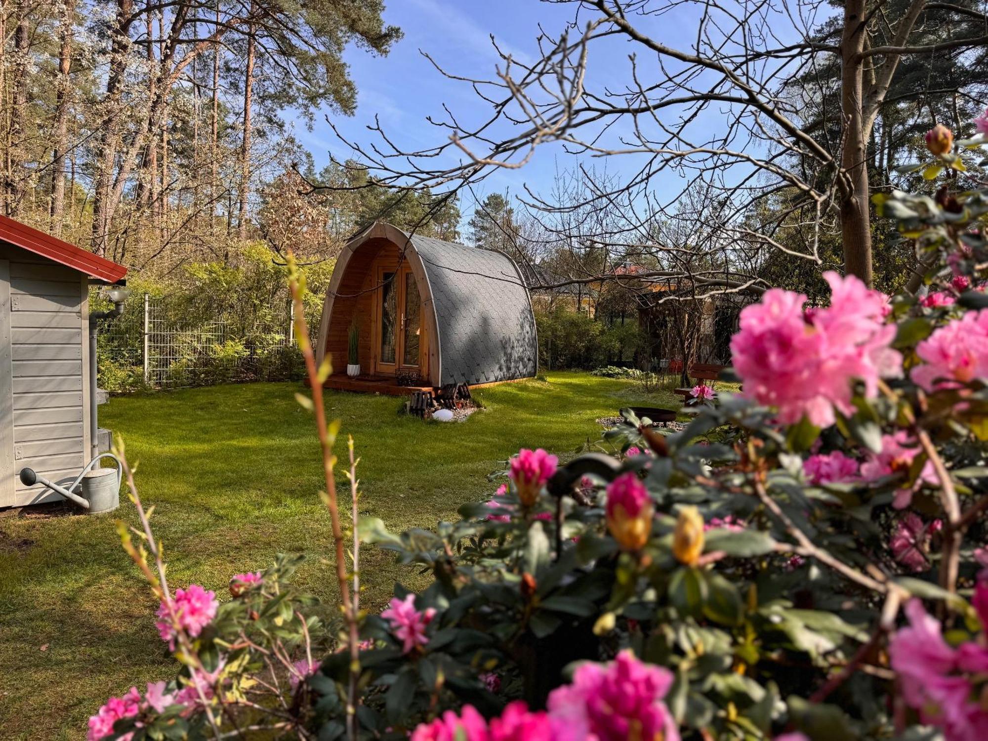 Ferienhaus Im Wald Borkwalde Eksteriør billede